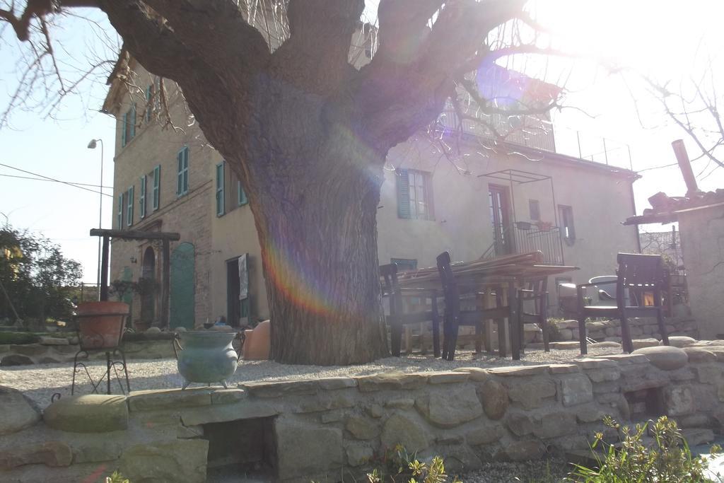 B&B Reillys Montecarotto Bagian luar foto